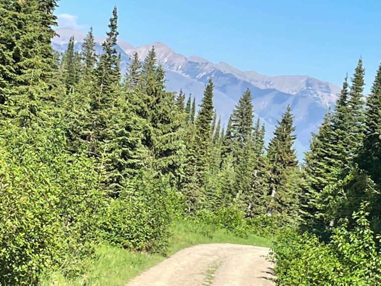 cold creek road with view of mission mountains