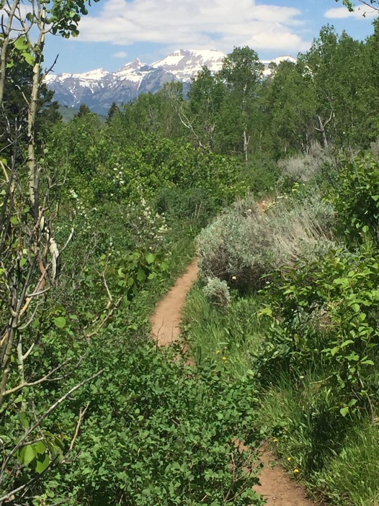 crystal lake trail hike