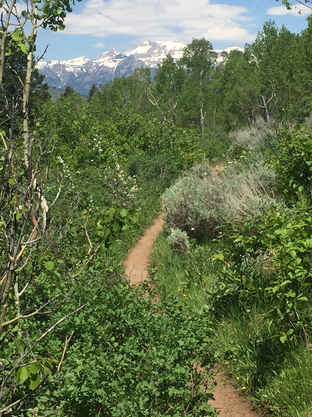 crystal lake trail hike