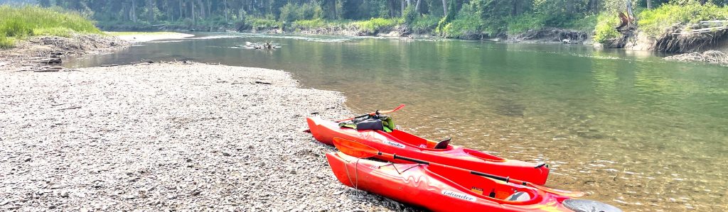 kayaking the swan river