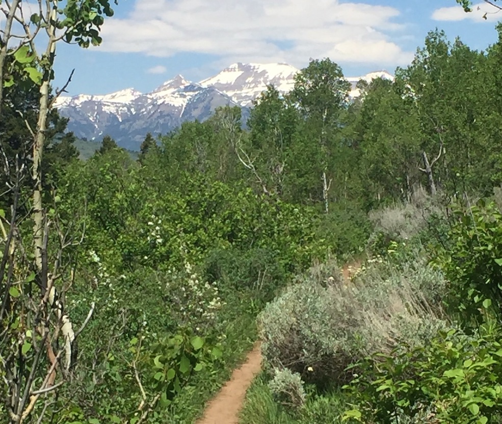 Hike to Crystal Lake with Mission Mountains view
