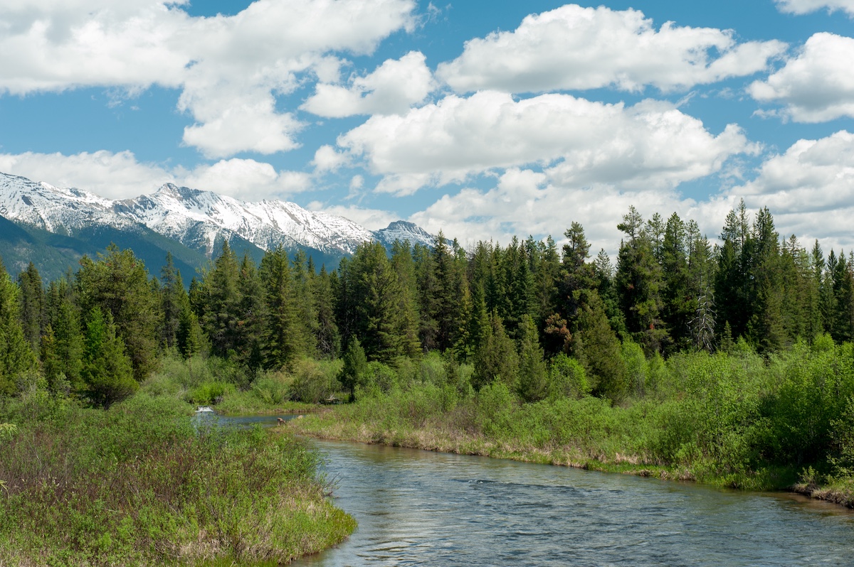 Swan River flowing through Condon